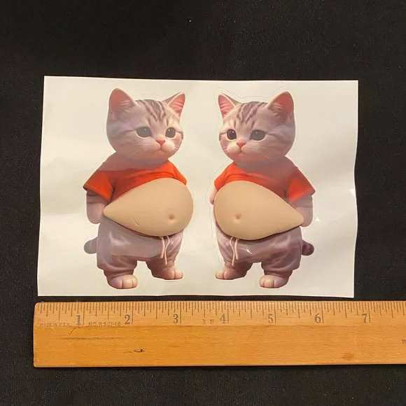 Pudgy Belly Kitty 3D Fidget Sticker Set - Help for stress & anxiety, ADHD NWOT - Picture 4 of 5